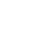 Icon Auto mit Checkliste